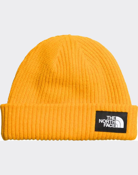 THE NORTH FACE SALTY LINED BEANIE