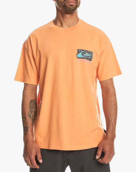 QUIKSILVER SPIN CYCLE SS MEN''S T-SHIRT
