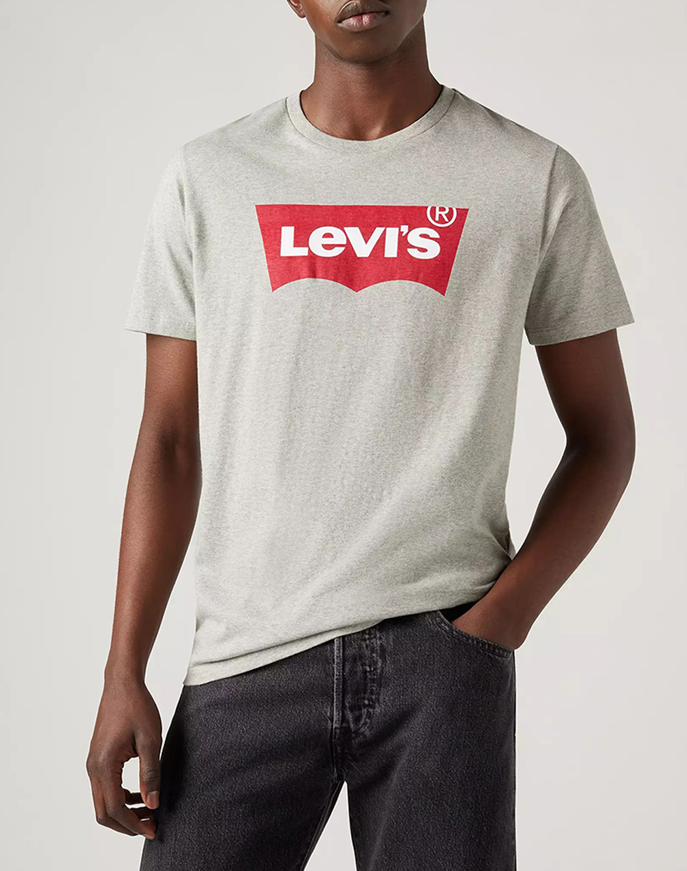 LEVIS GRAPHIC SET-IN NECK 17783-0138-0138 Gray
