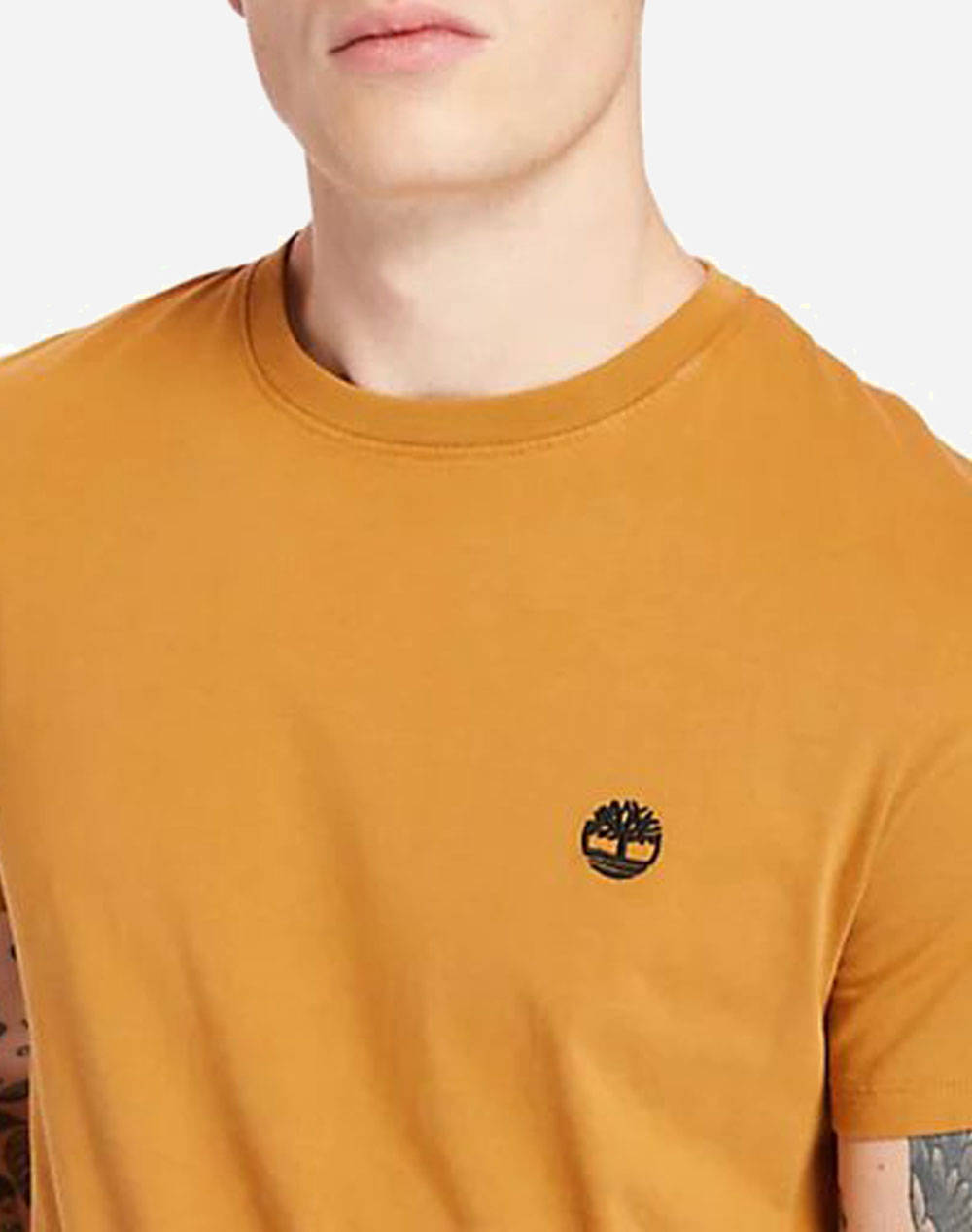 TIMBERLAND SUN RIVER CREW T SHIRT TB0A2BPR-P47 Camel φωτογραφία
