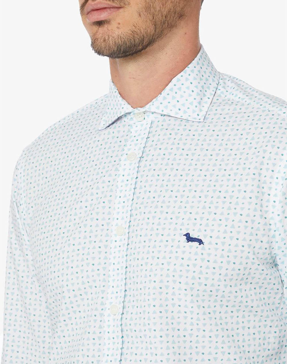 HARMONT & BLAINE CAMICIA UOMO IN COTONE CNJ026012384I-633 Turquoise φωτογραφία