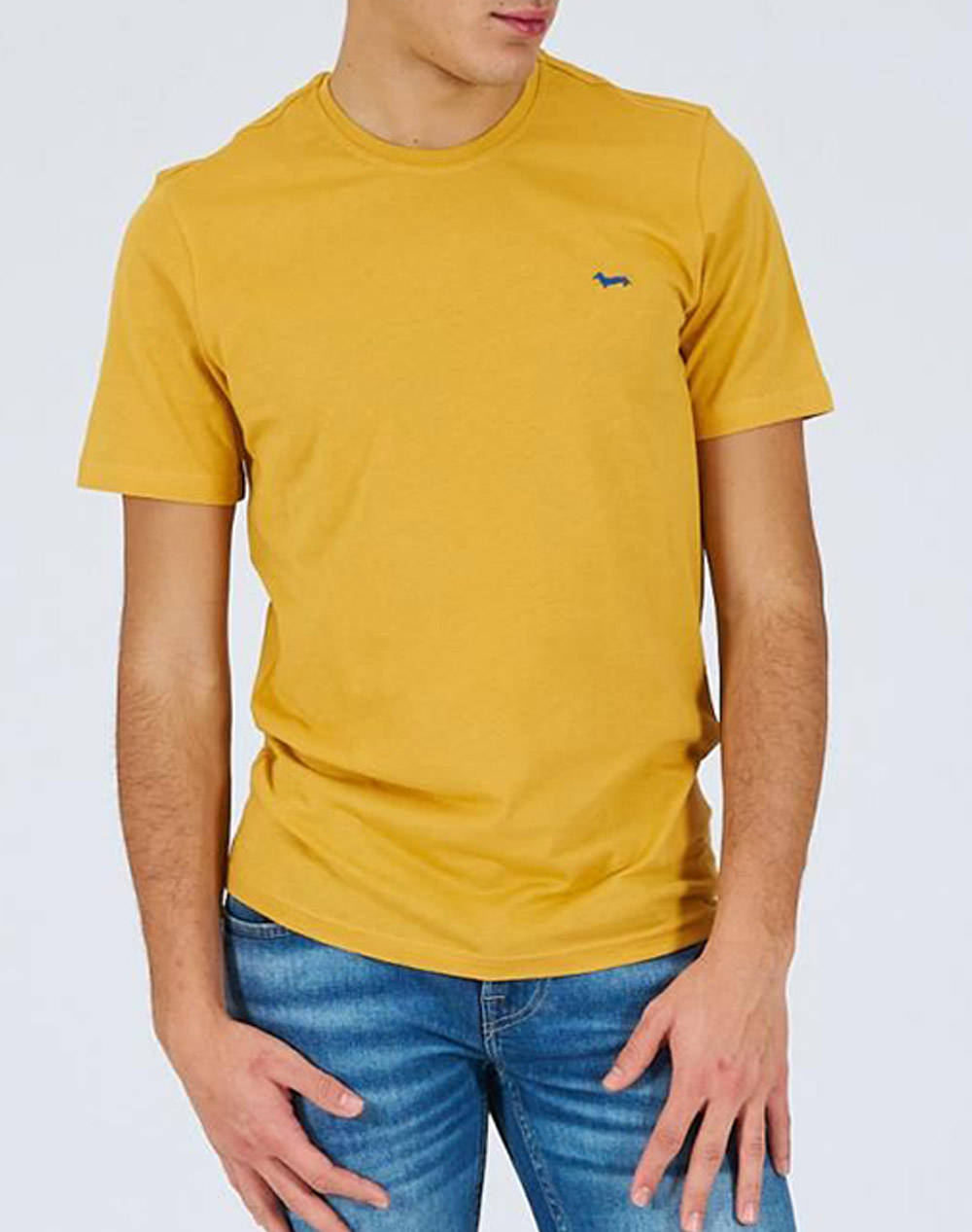 HARMONT & BLAINE T-SHIRT COTONE INJ001021223-401 Yellow