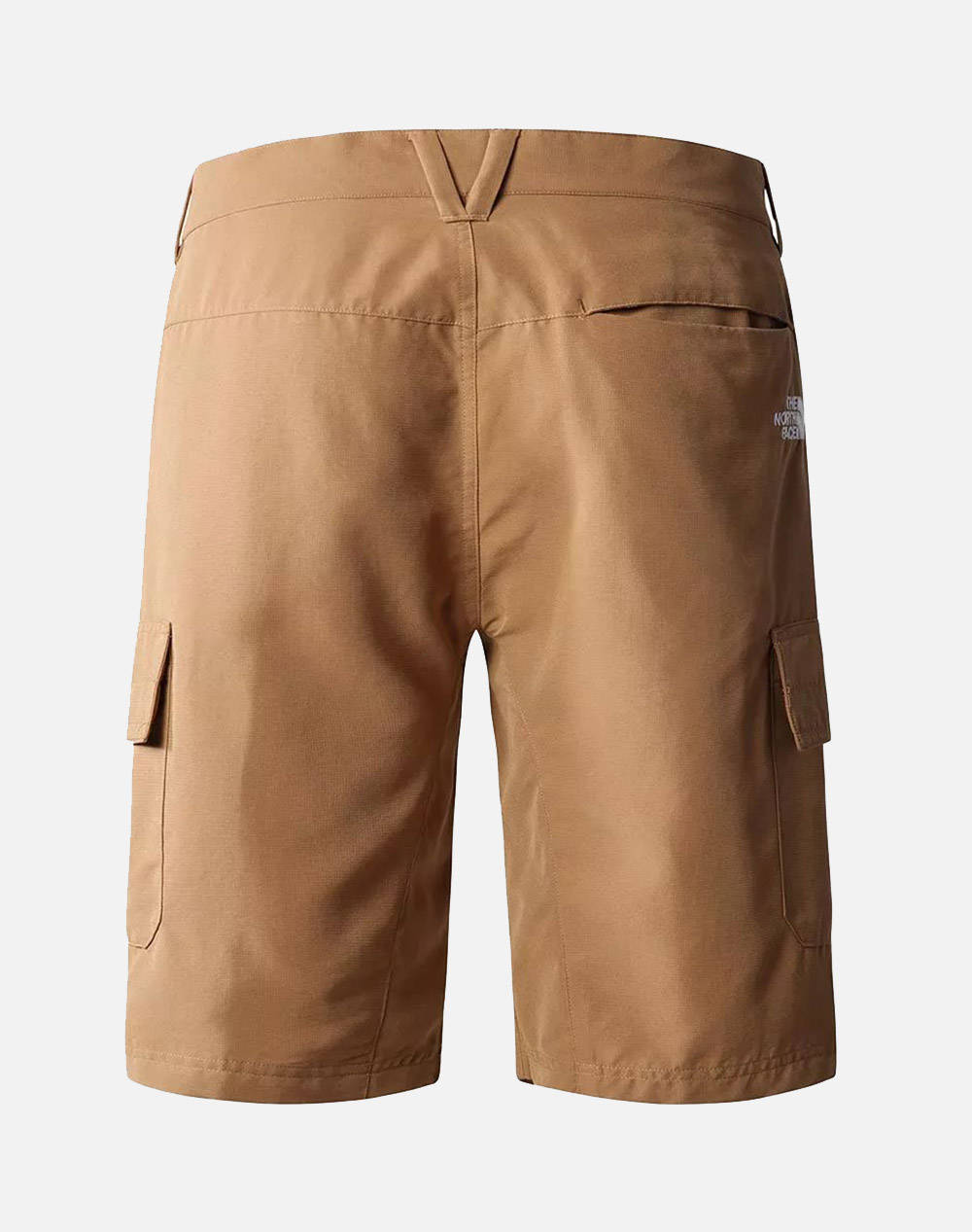 THE NORTH FACE M HORIZON SHORT NF0A824D-NF173 Biege φωτογραφία