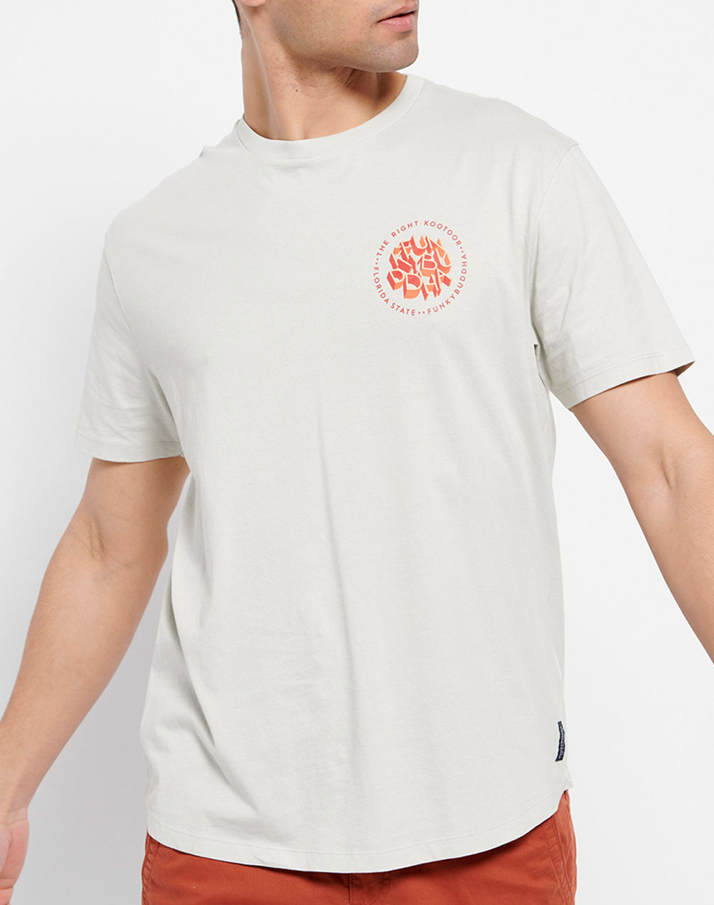 FUNKY BUDDHA Relaxed fit t-shirt με τύπωμα FBM007-065-04-SILVER LightGray