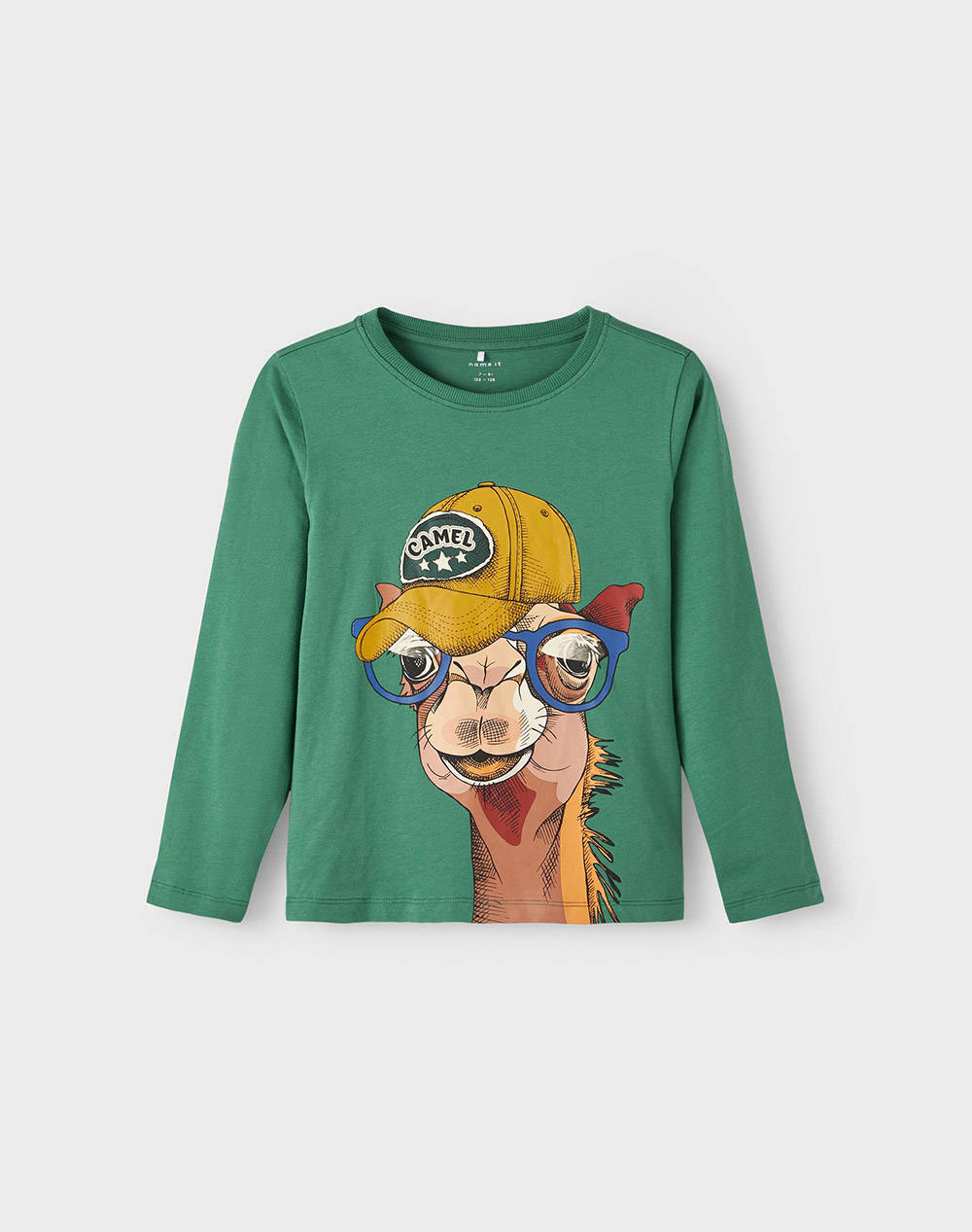 NAME IT NKMLAVS LS TOP PB 13220018-FIR Green