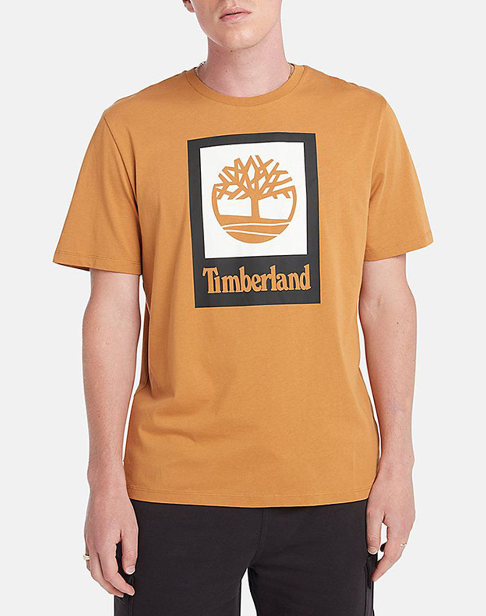 TIMBERLAND STLG Colored Short Sleeve Te TB0A5QS2-P47 Orange
