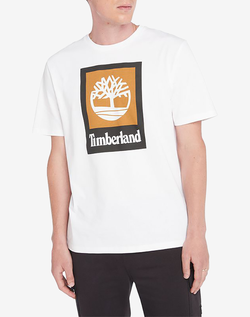 TIMBERLAND STLG Colored Short Sleeve Te TB0A5QS2-100 White