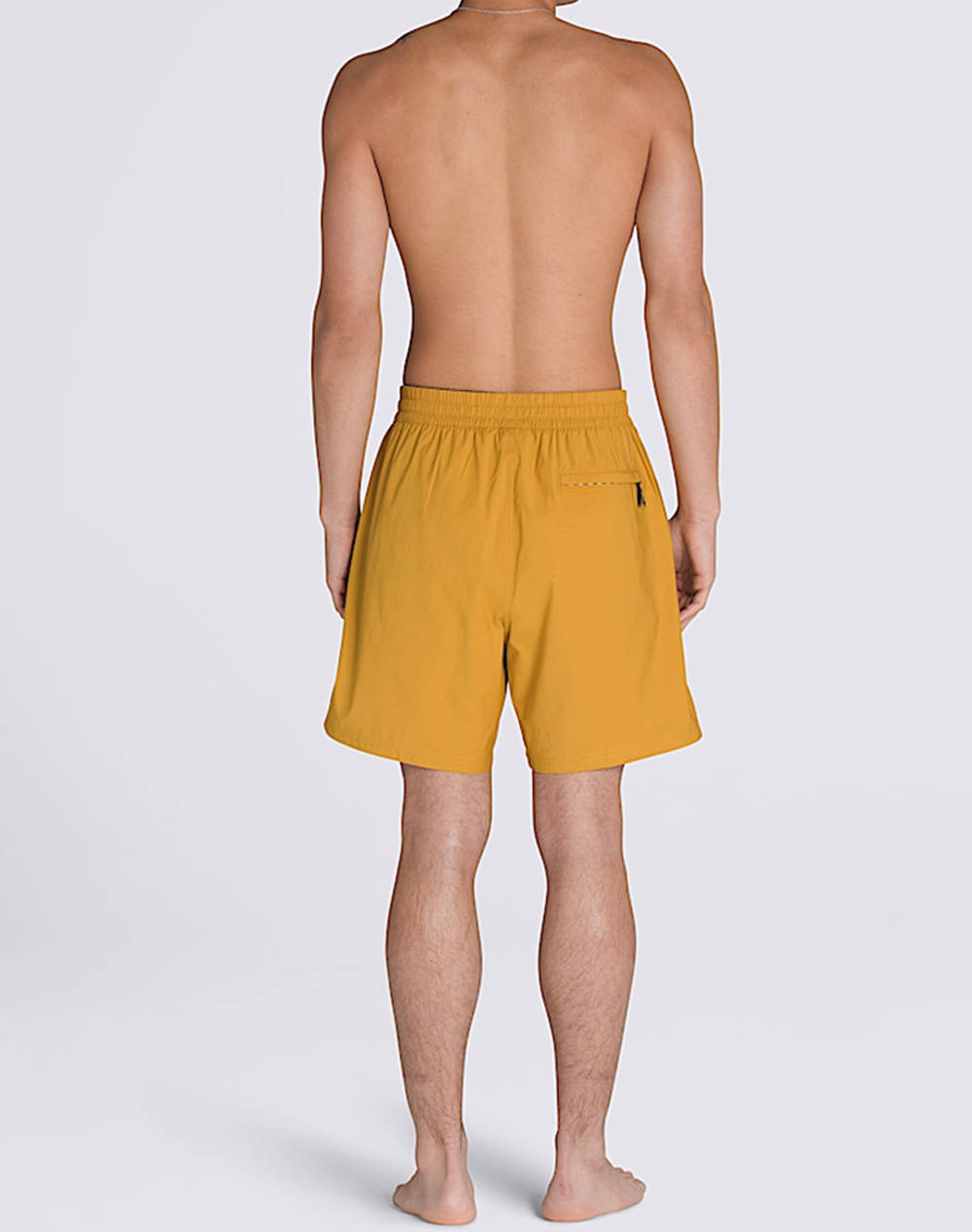 VANS PRIMARY SOLID ELASTIC B VN000G75BL21-VNBL2 Mustard φωτογραφία