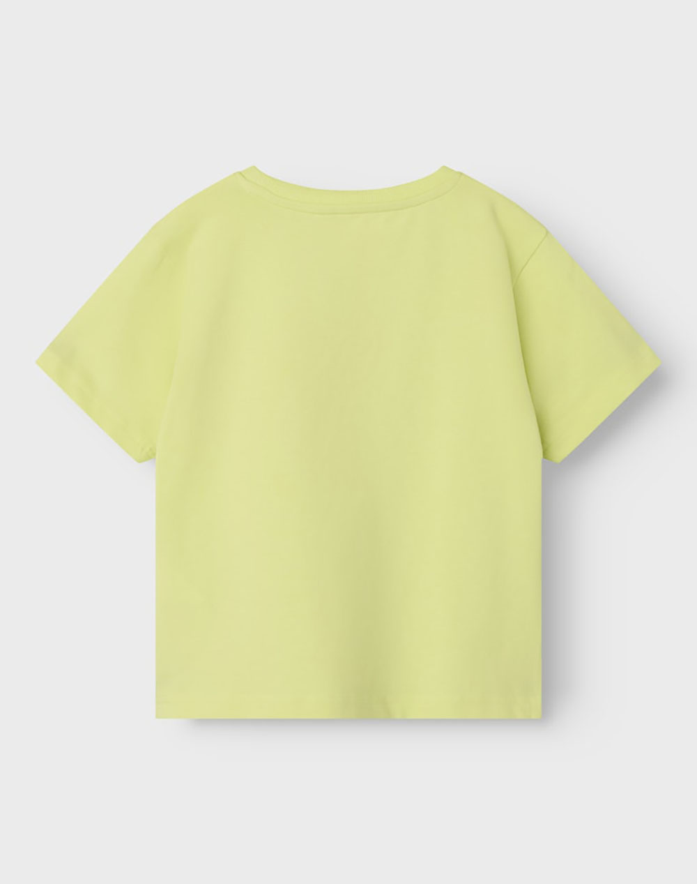 NAME IT NMMZAKKO NREG SS TOP BOX 13241033-Sunny Lime Lime φωτογραφία