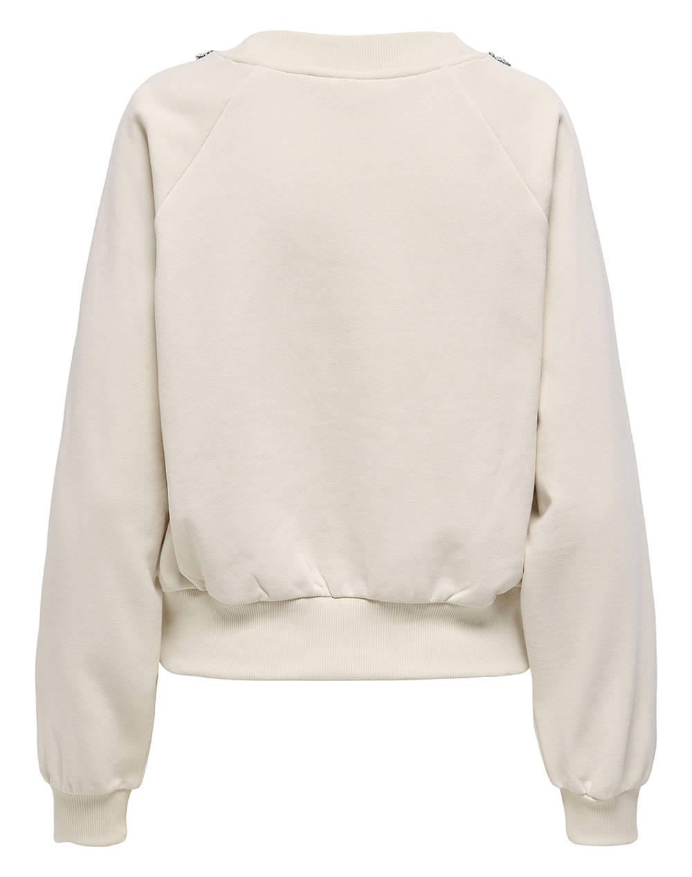 ONLY ONLJETT L/S O-NECK EMB. BOX SWT 15355912-BirchEmbellishment Biege φωτογραφία