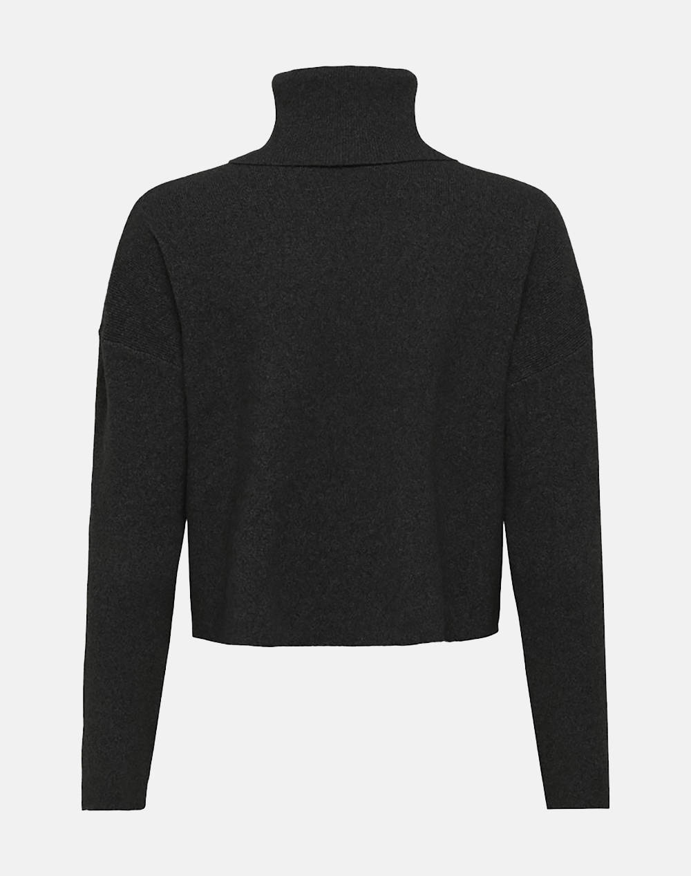 ONLY ONLAMA LIFE LS RIB ROLLNECK CC KNT 15350404-BLACK Black φωτογραφία