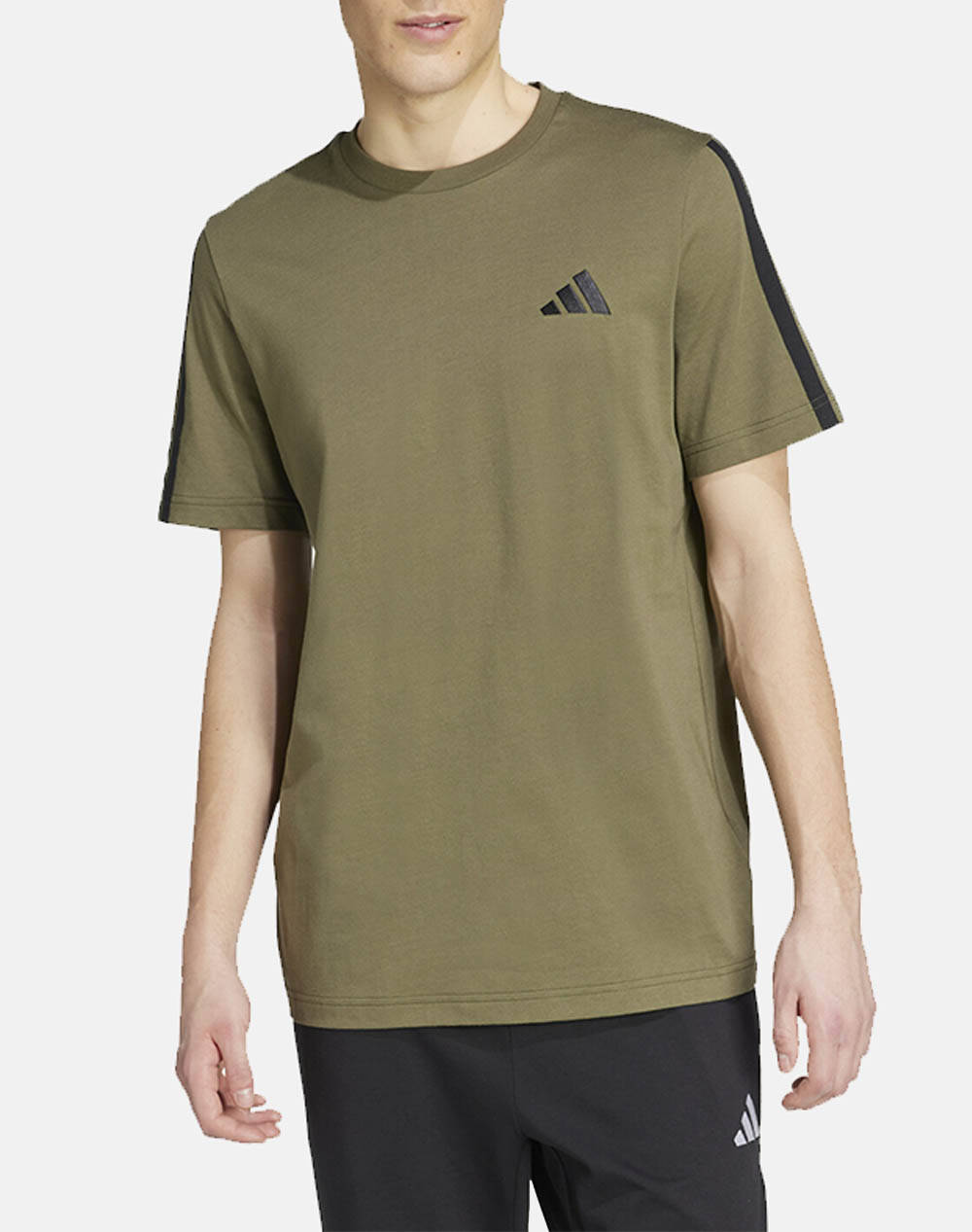 ADIDAS M 3S SJ T JY1558-OLISTR Olive