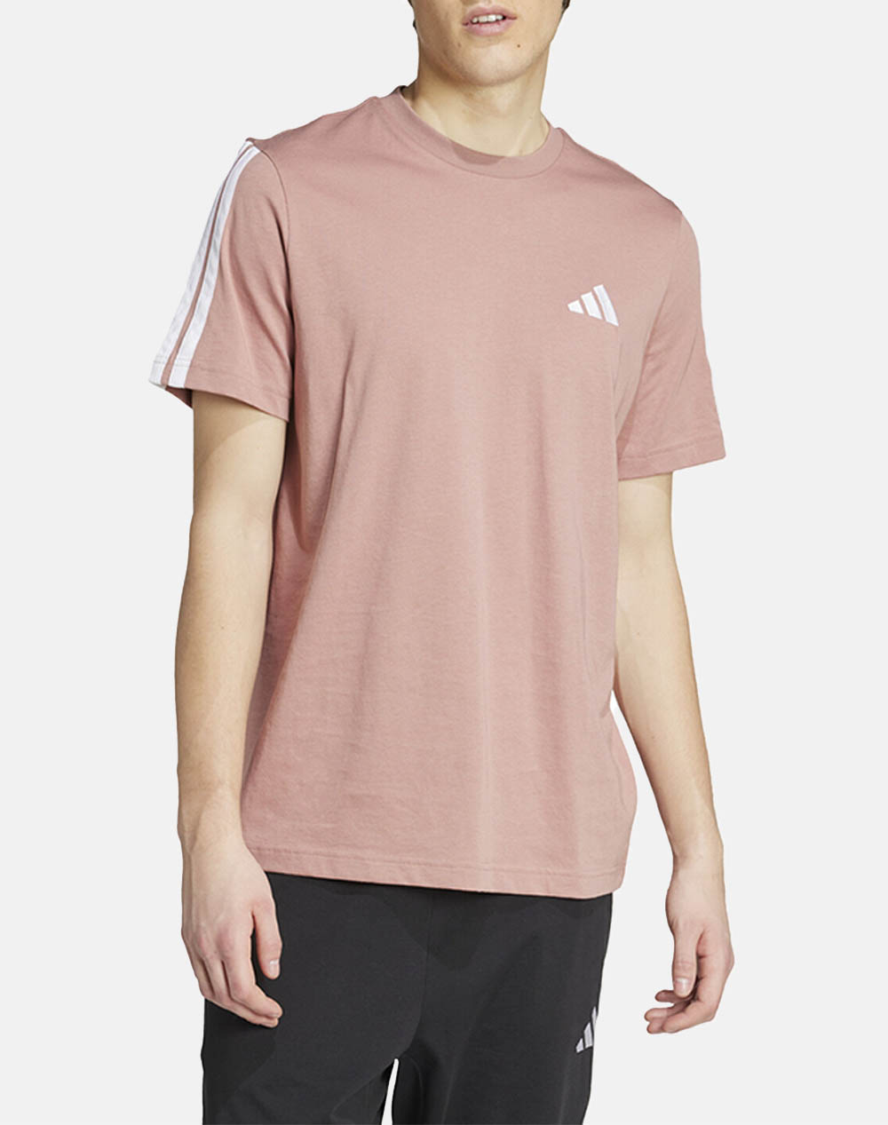 ADIDAS M 3S SJ T JY1563-WARCLA Coral