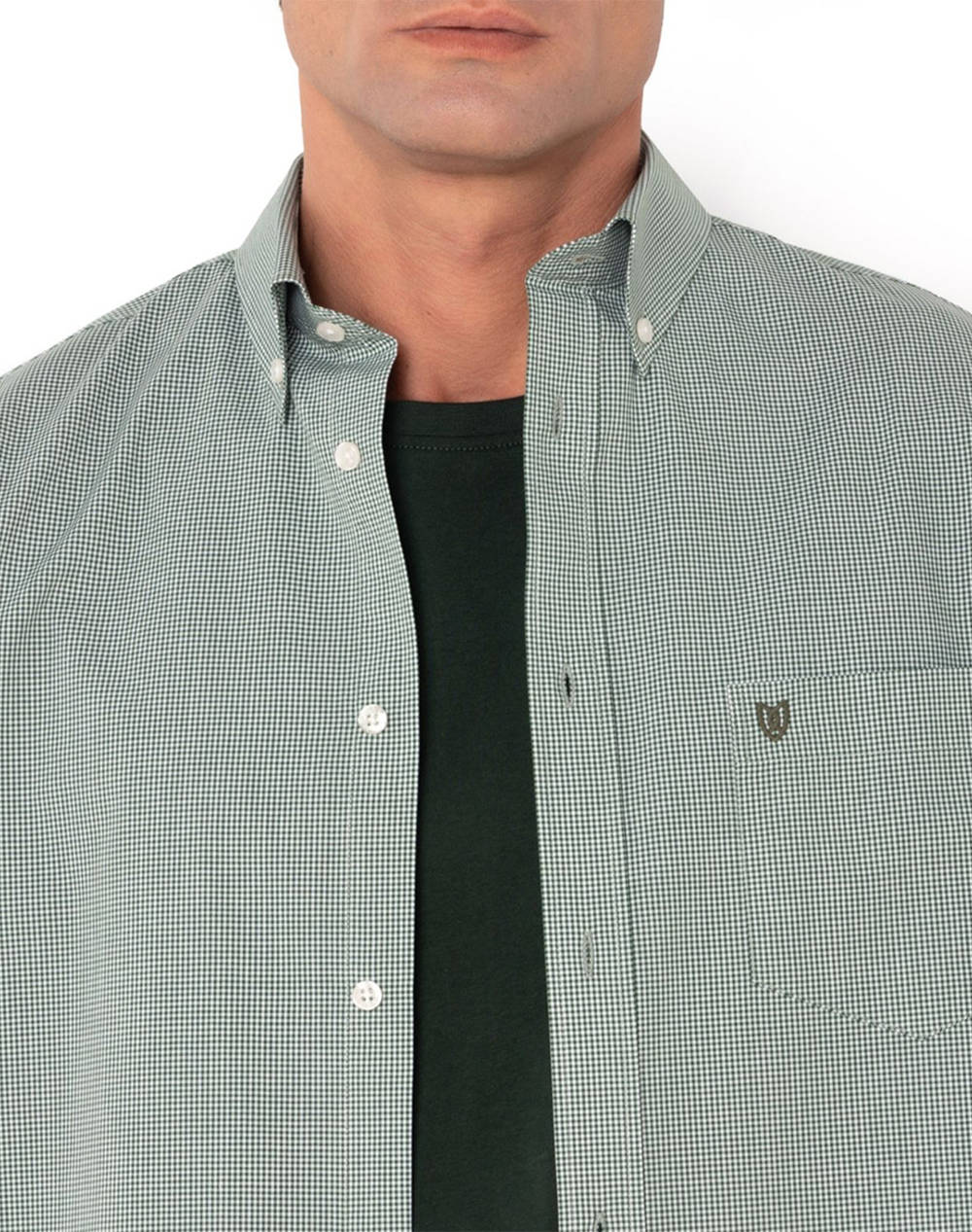 THE BOSTONIANS ΠΟΥΚΑΜΙΣΟ CHESTER ΠΟΠΛΙΝΑ REGULAR FIT MiniCheck POPLIN Button-down Regular Fit 3AAC7021-DARK Green φωτογραφία