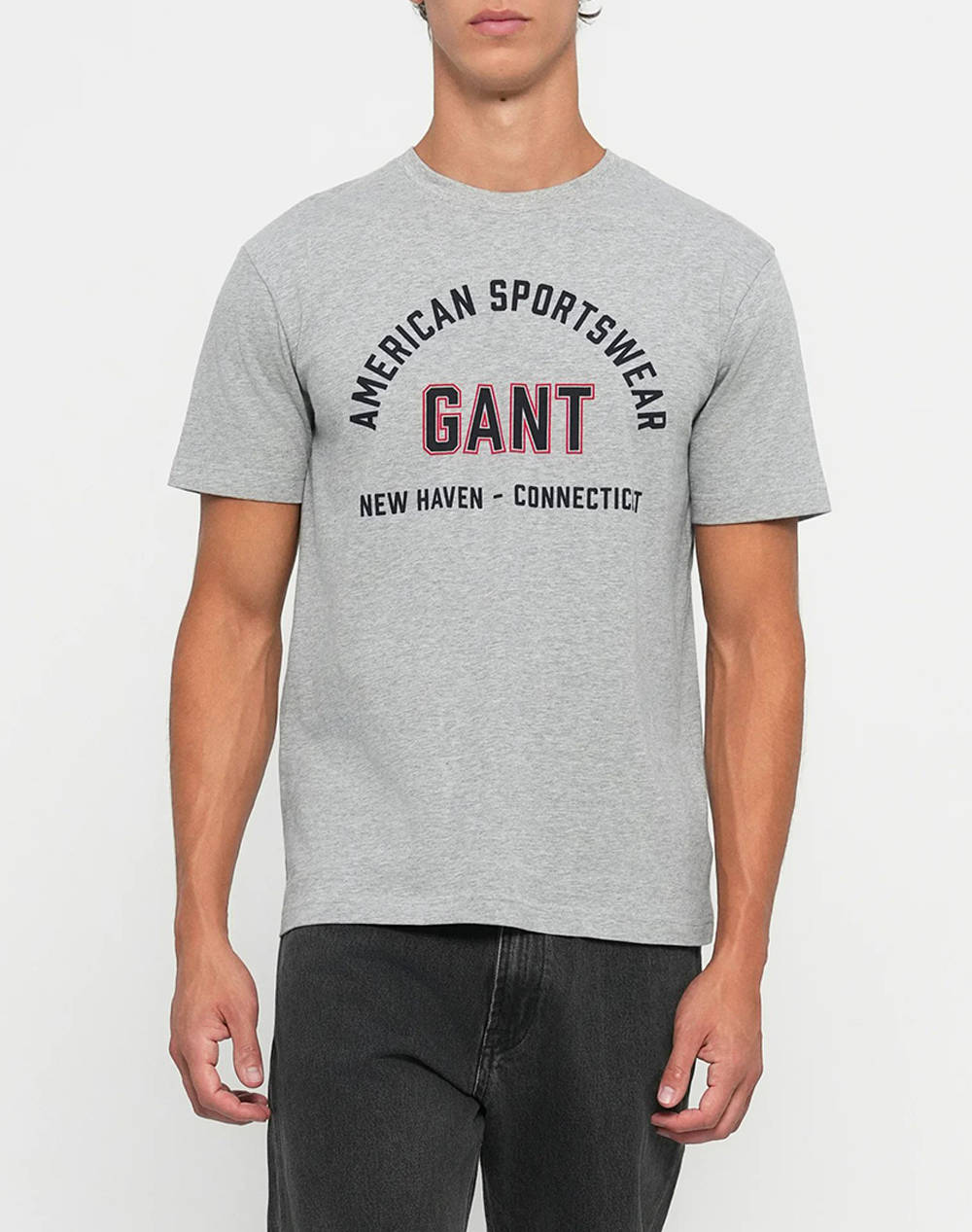 GANT ΜΠΛΟΥΖΑ ΚΜ PRINTED GRAPHIC SS T-SHIRT 3G2003364-93 Gray