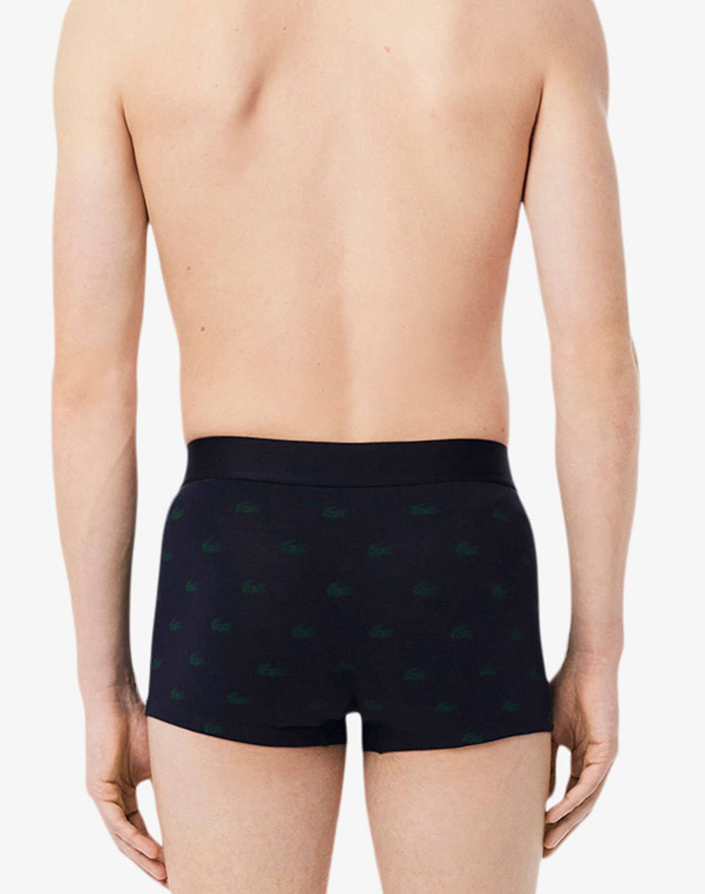 LACOSTE ΣΕΤ 3 ΕΣΩΡΟΥΧΩΝ TRUNK PACK 3 35H5154-I90 Multi φωτογραφία