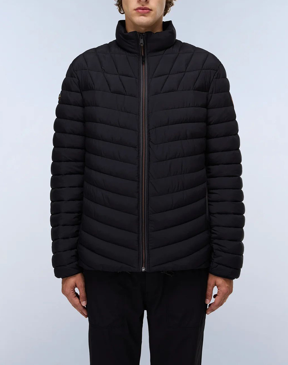 Ανδρικά Μπουφάν & Ανδρικά Παλτό Napapijri