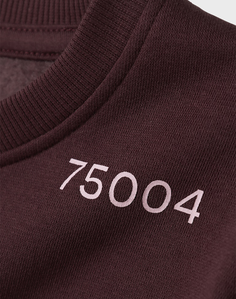 NAME IT NKFODIKA LS RLX SWEAT BRU BF 13247274-Sassafras Bordeux φωτογραφία