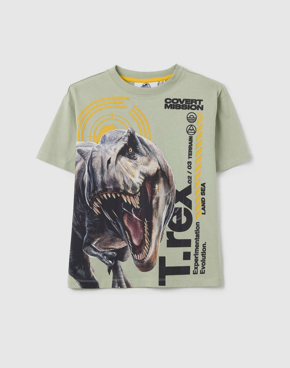 OVS T-SHIRT GREEN 2401239-DESERT SAGE LightGreen