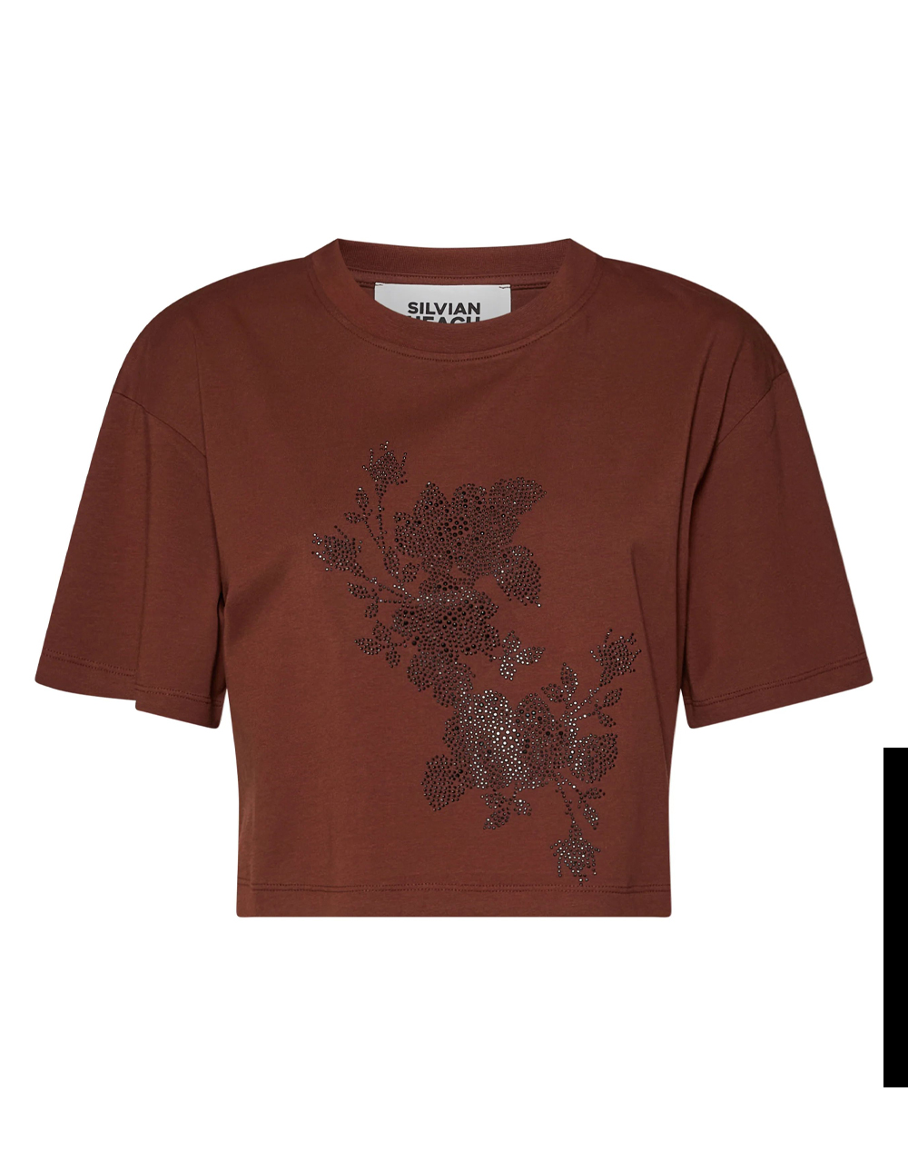 SILVIAN HEACH T-SHIRT MANIET GPP26228TS-CAPPUCCINO Brown