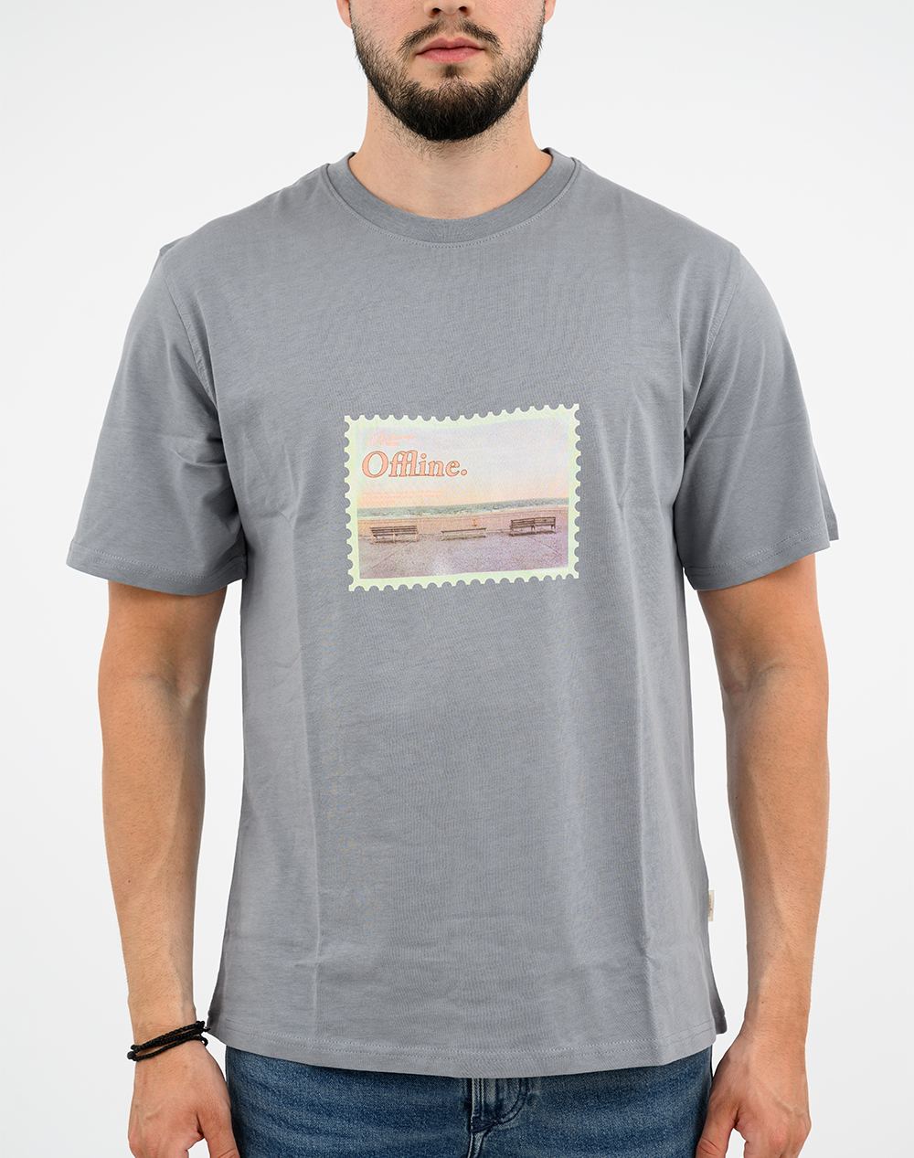 JACK&JONES JORMONTAUK PHOTO TEE SS CN 12290890-Tradewinds Gray