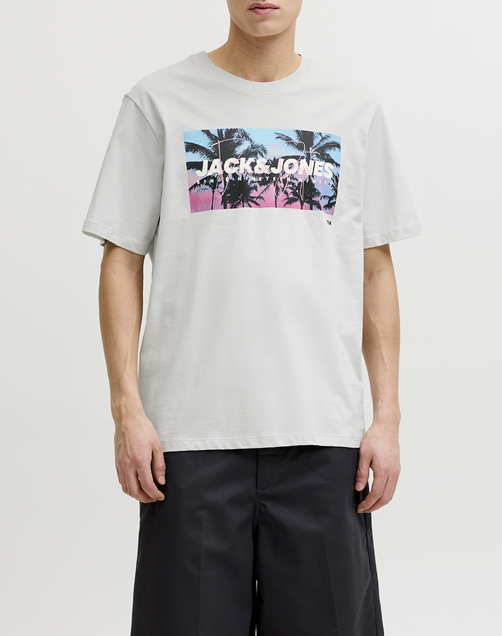 JACK&JONES JJINDIANA TEE SS CREW NECK LN 12288112-Glacier Gray LightGray