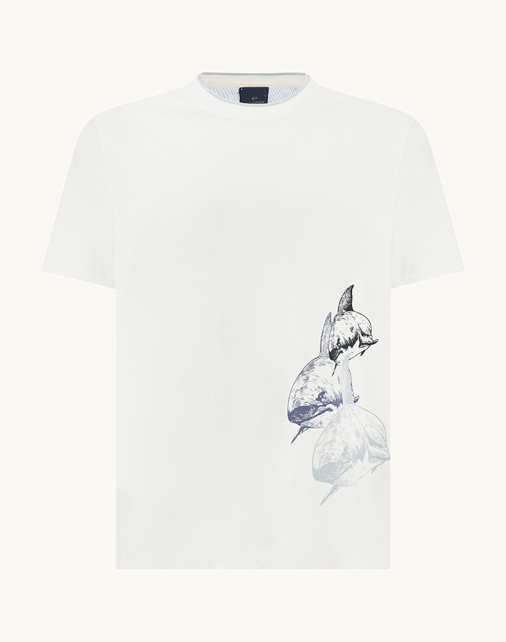 PAUL&SHARK T-Shirt 26411060-3XL-4XL-108 OffWhite