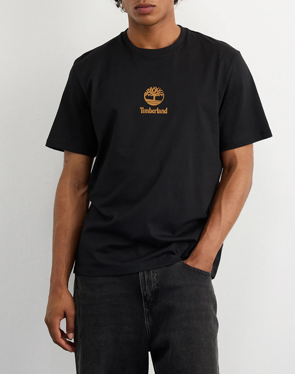 TIMBERLAND Print Stack Logo Short Sleeve Tee TB0A6WWT-001 Black