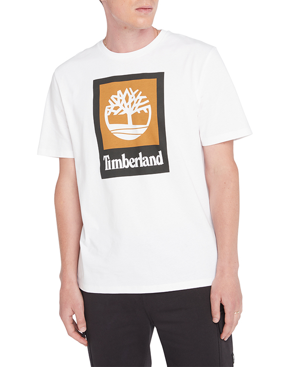 TIMBERLAND Colored Short Sleeve Tee TB0A5QS2-100 White