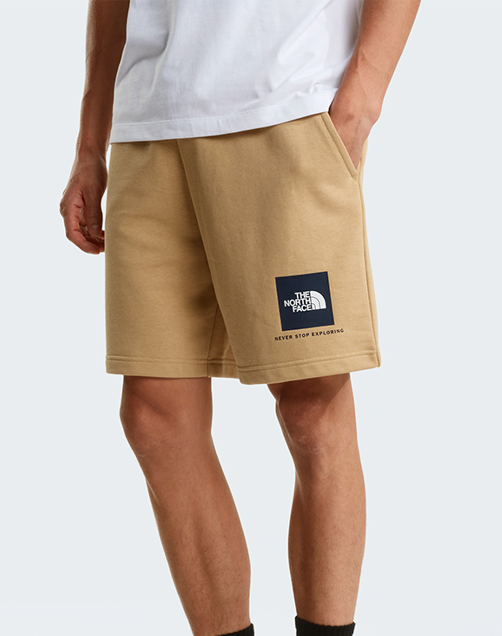THE NORTH FACE M BOX NSE LT RG NF0A8GQ8-NFLK5 Biege