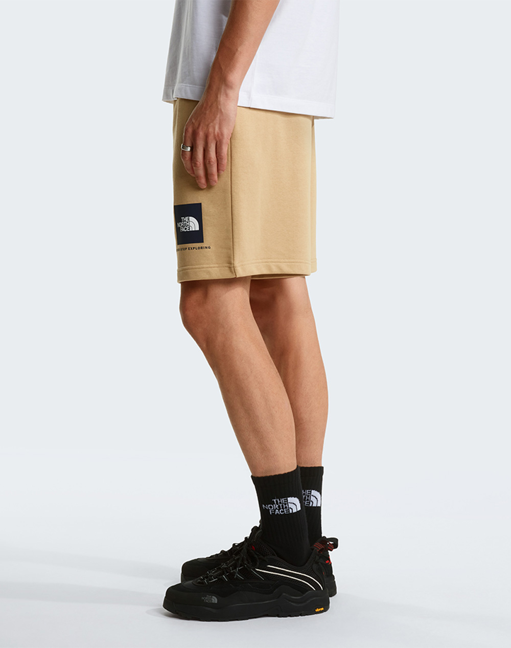 The North Face M Box Nse Lt Rg Nf0A8Gq8-Nflk5 Biege ανδρικά αθλητικά ρούχα Σορτς Βερμουδα Politikos Shop Πολιτικός