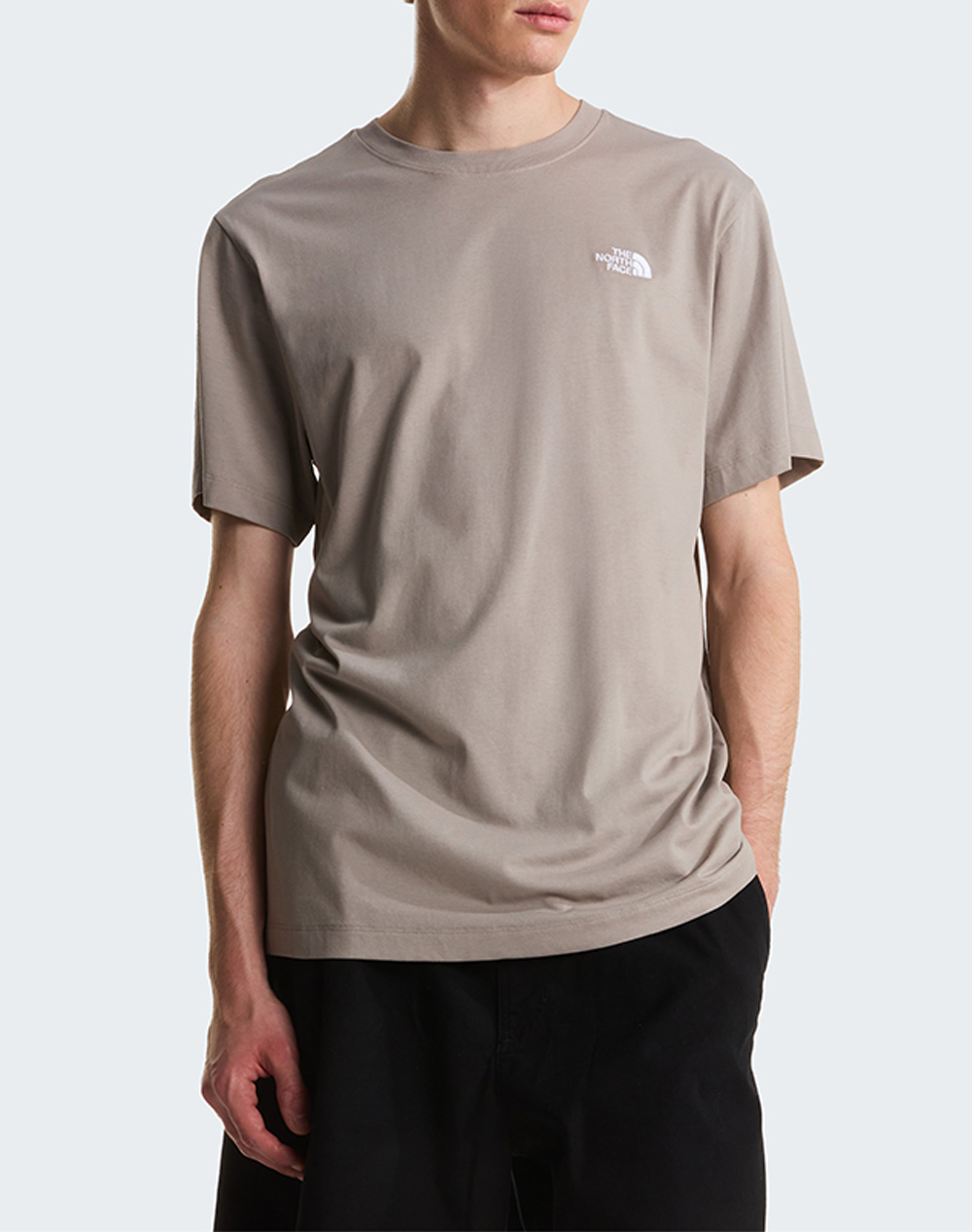 THE NORTH FACE M EVO SD REG SS TEE NF0A8CZ2-NF2MB Biege