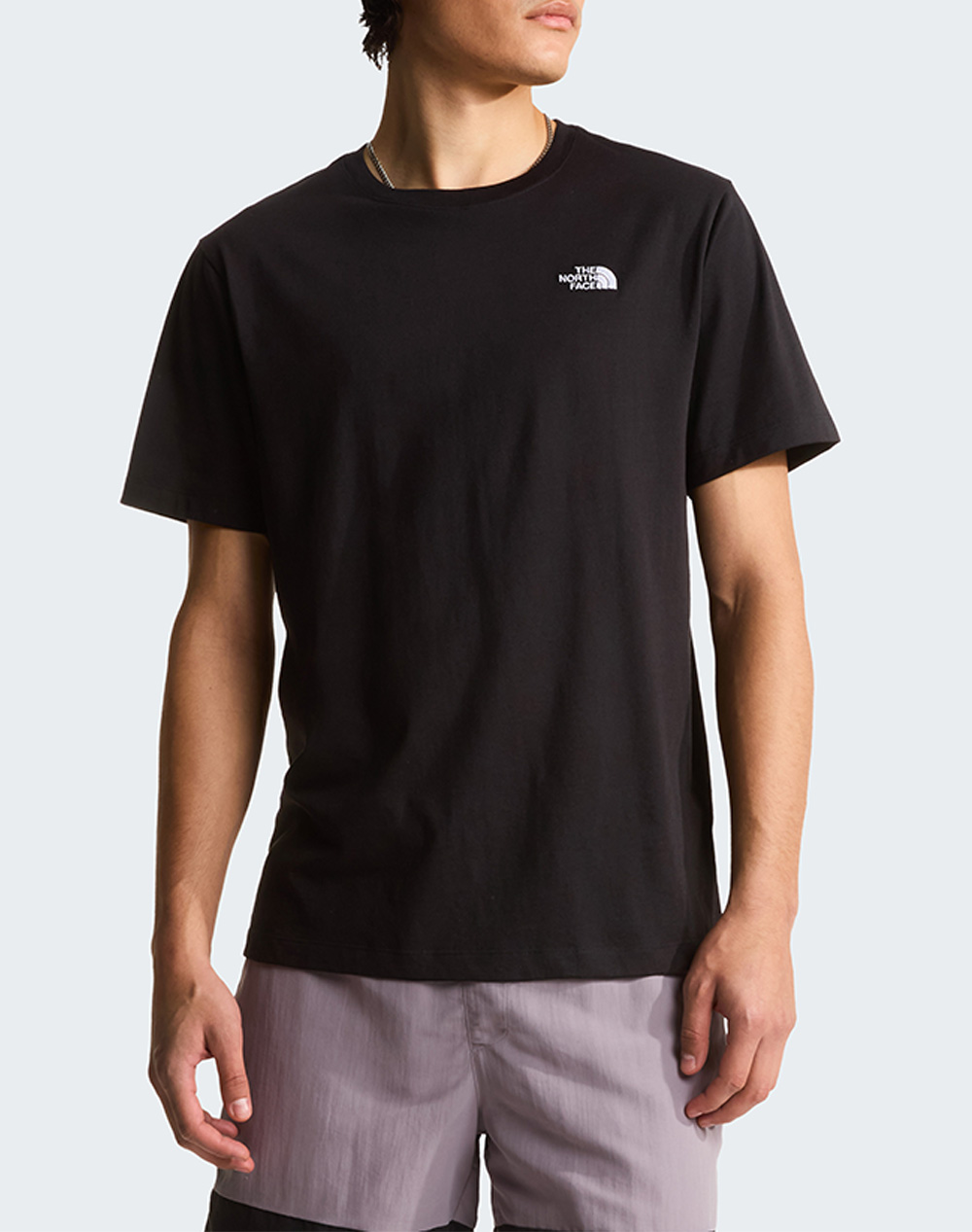 THE NORTH FACE M EVO SD REG SS TEE NF0A8CZ2-NFJK3 Black