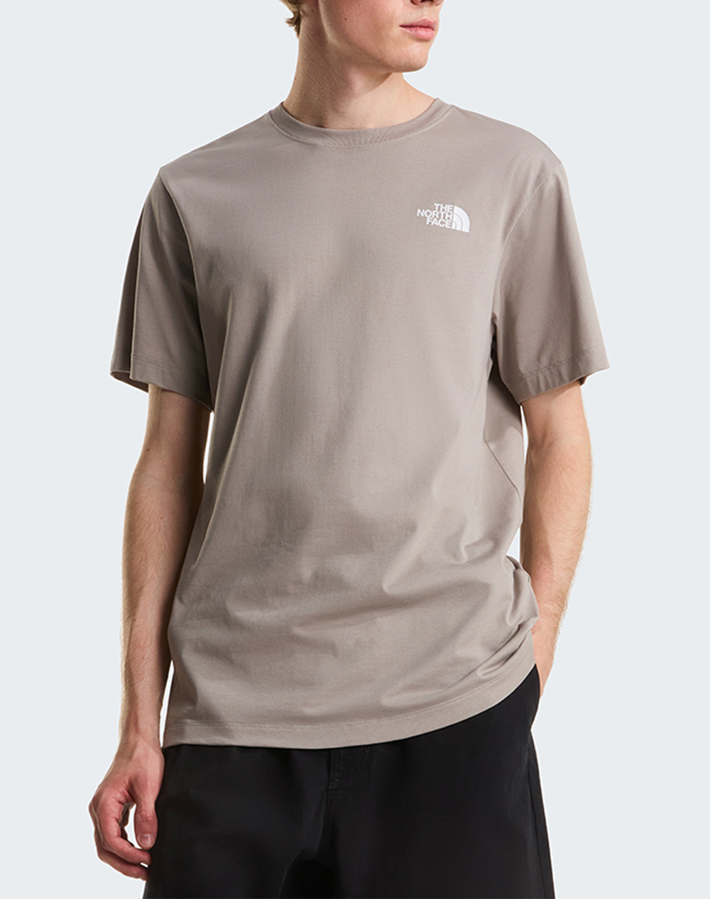 THE NORTH FACE M EVO BOX NSE REG SS T NF0A8B6K-NF2MB Gray