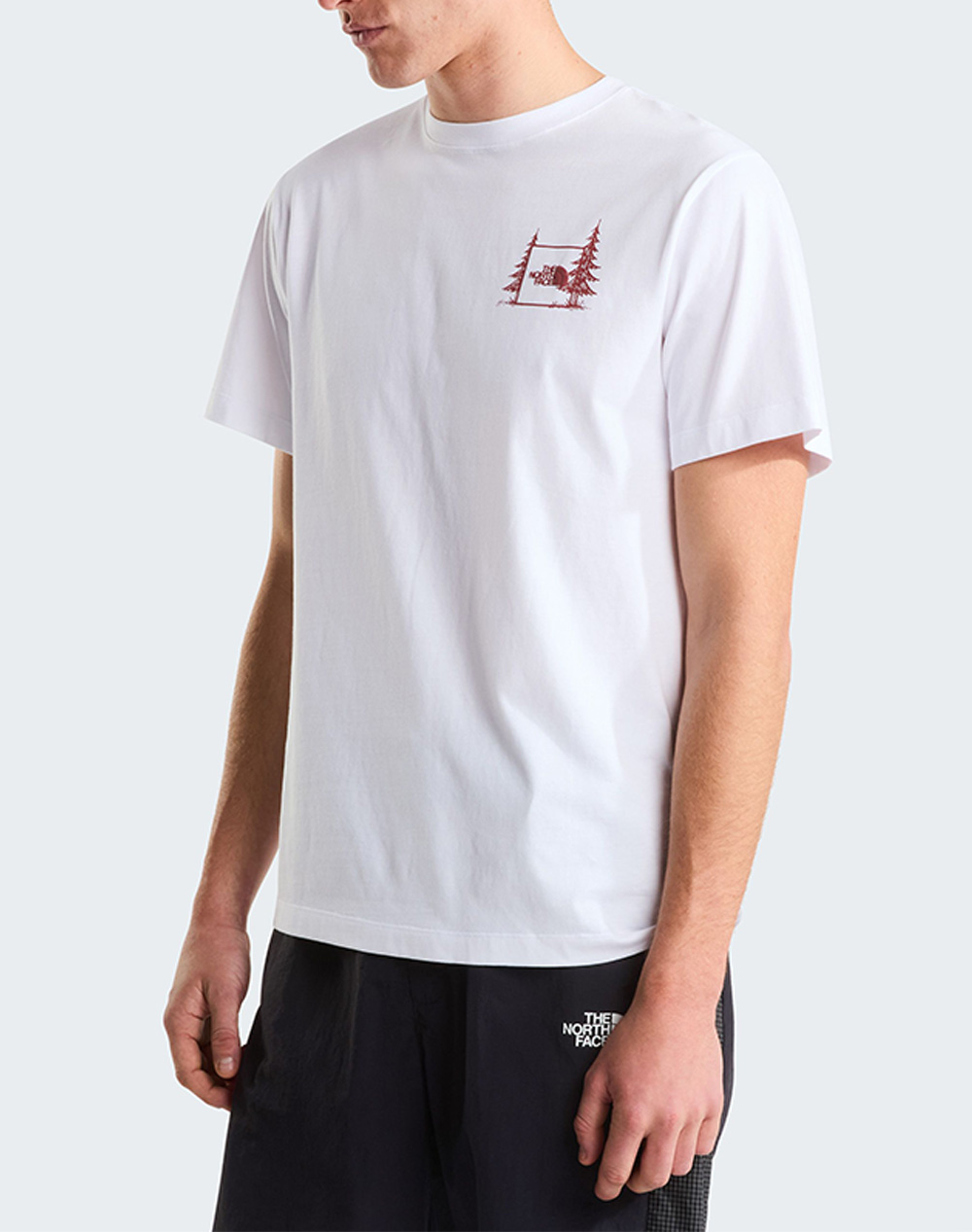 THE NORTH FACE M CAMPING RELAXED SHORT NF0A8GQM-NFFN4 White