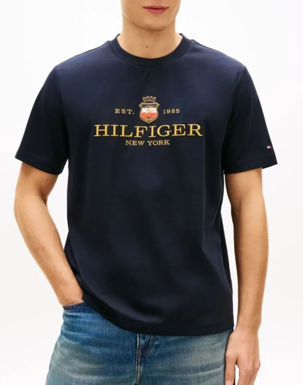 TOMMY HILFIGER ICON GRAPHIC TEE MW0MW42302-DW5 DarkBlue