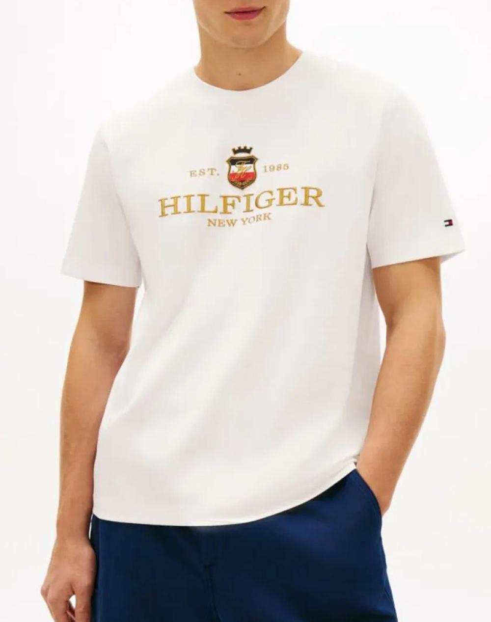 TOMMY HILFIGER ICON GRAPHIC TEE MW0MW42302-YBR White