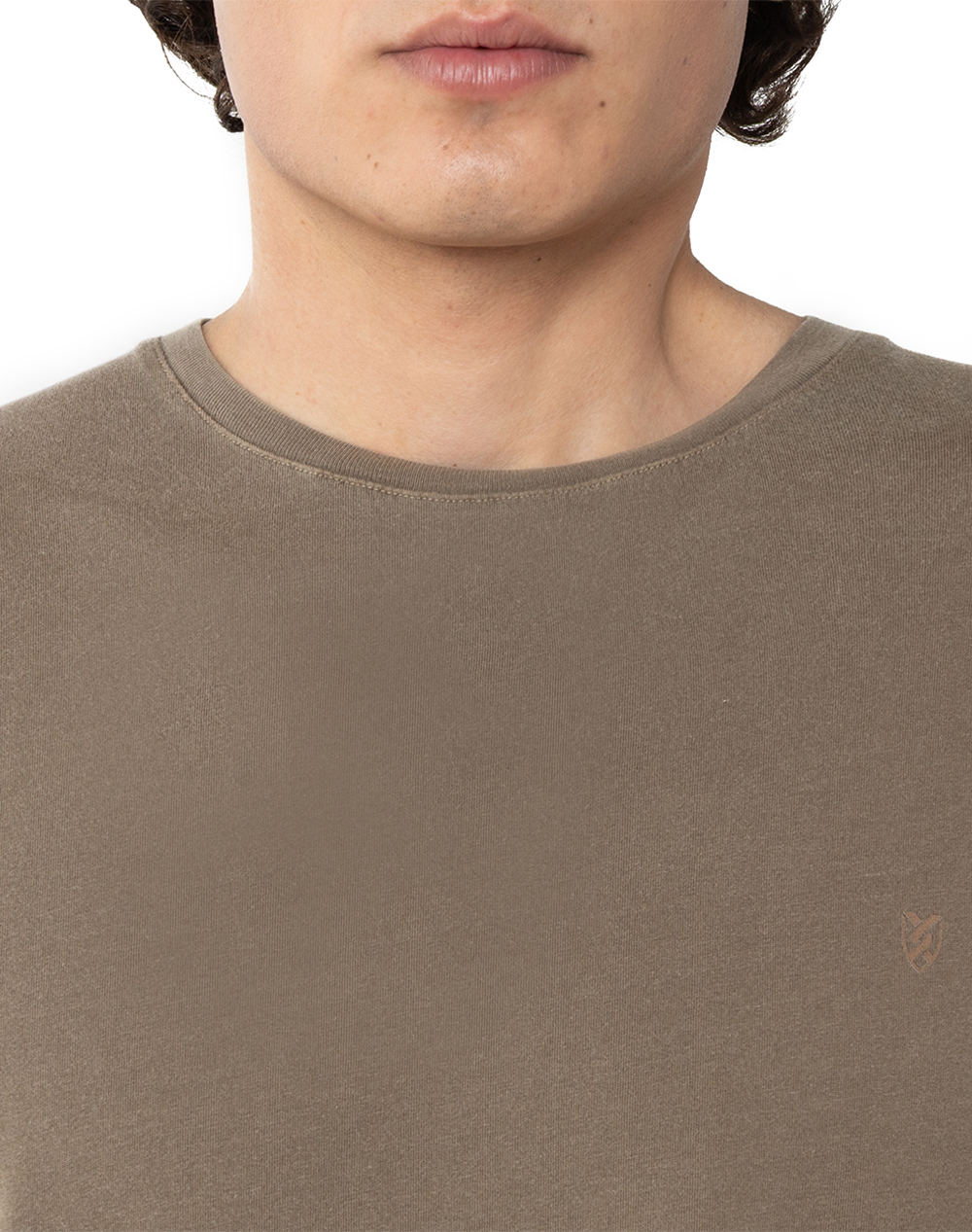 The Bostonians Μπλούζα T-Shirt Delave Regular Fit 3Ts1250-Cigar Cappuccino ανδρικά ρούχα μπλούζες Politikos Shop Πολιτικός