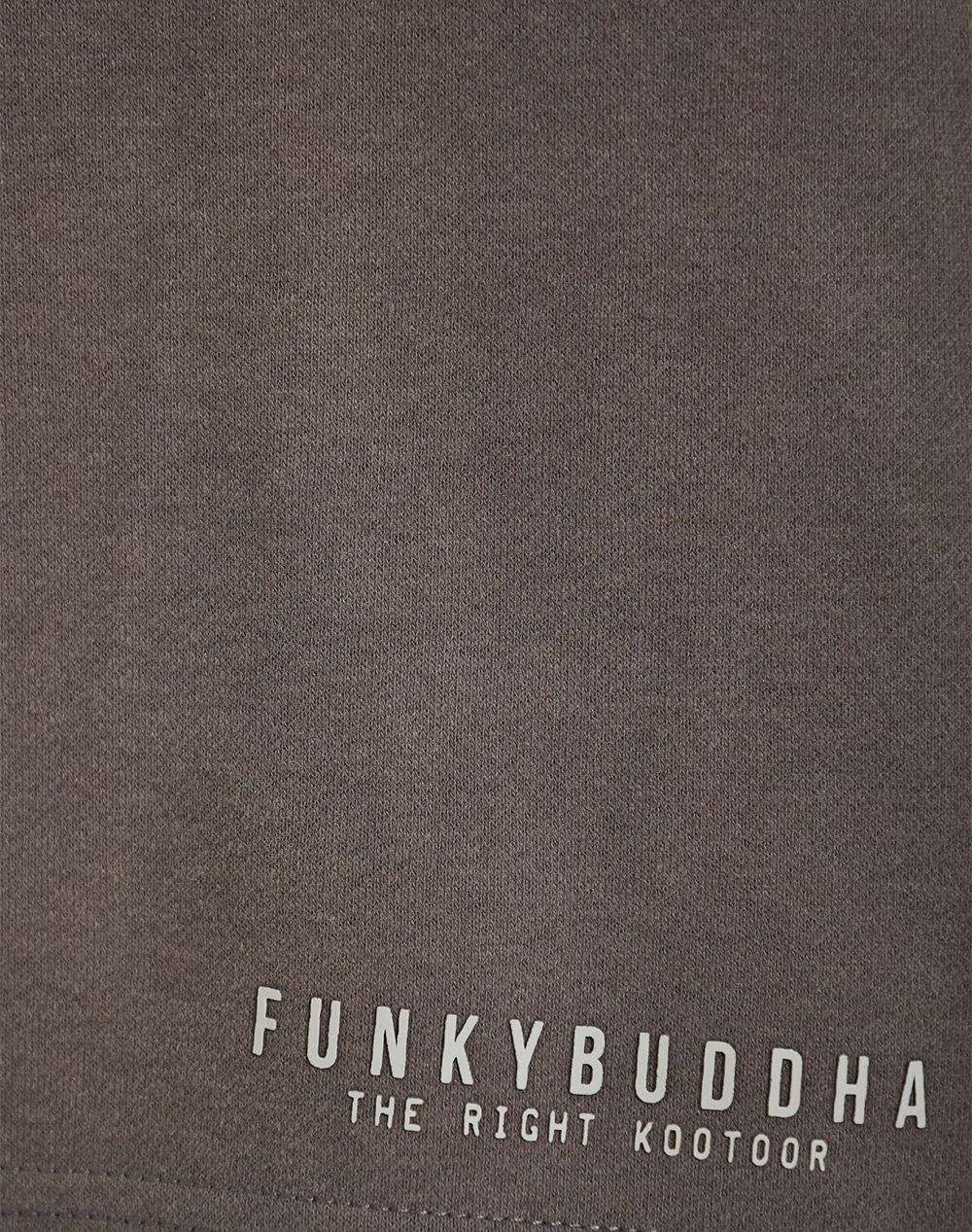 Funky Buddha Shorts Fbm013-050-03-Moon Mist Darkgray ανδρικά αθλητικά ρούχα Σορτς Βερμουδα Politikos Shop Πολιτικός