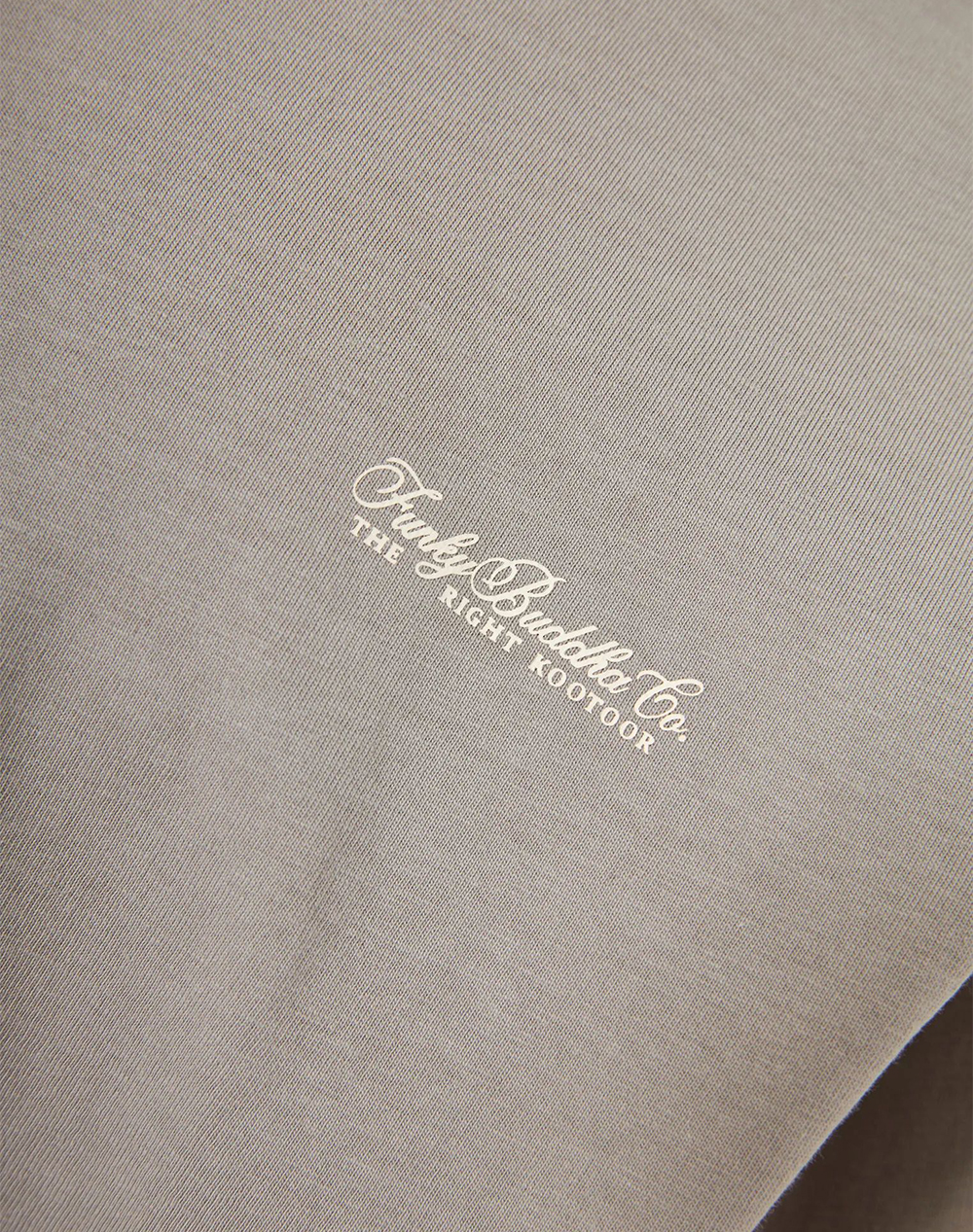 Funky Buddha T-Shirts Fbm013-001-04-Grey Gray ανδρικά ρούχα μπλούζες T-Shirt Politikos Shop Πολιτικός