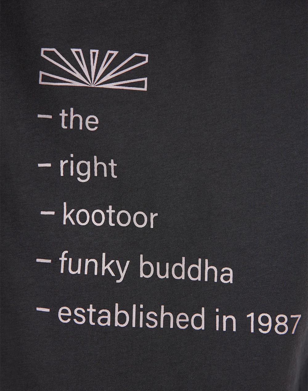 Funky Buddha T-Shirts Fbm013-014-04-Anthracite Darkslategrey ανδρικά ρούχα μπλούζες T-Shirt Politikos Shop Πολιτικός